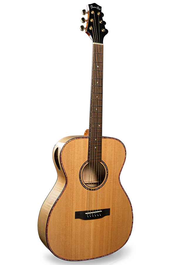 StarrySpring (OM) Maple